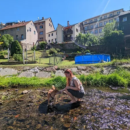 Urlaubsmagie - Felsenfreund - Sauna & Saisonaler Pool Sebnitz