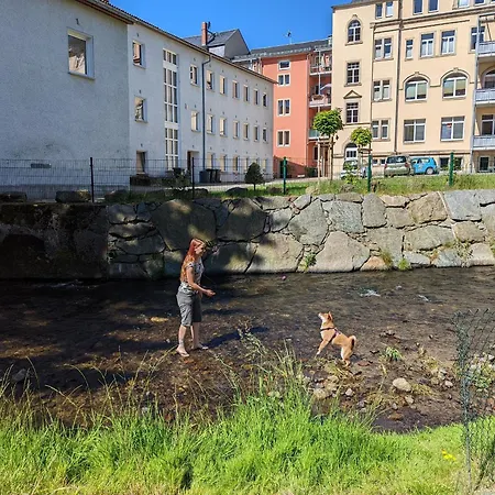 F0 - Urlaubsmagie - Kleine Voll Ausgestattete Mit Gemeinschaftsgarten, -pool & -sauna * Sebnitz