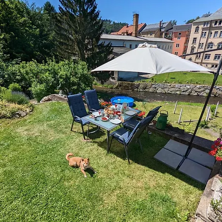Apartment F0 - Urlaubsmagie - Kleine Voll Ausgestattete Mit Gemeinschaftsgarten, -pool & -sauna Sebnitz